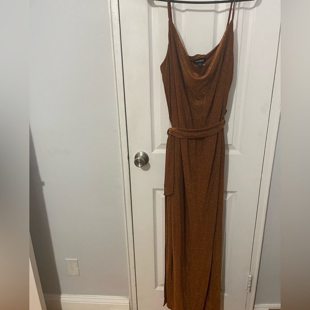 NWT. Express Metallic Cowl Neck Tie Waist Dress.